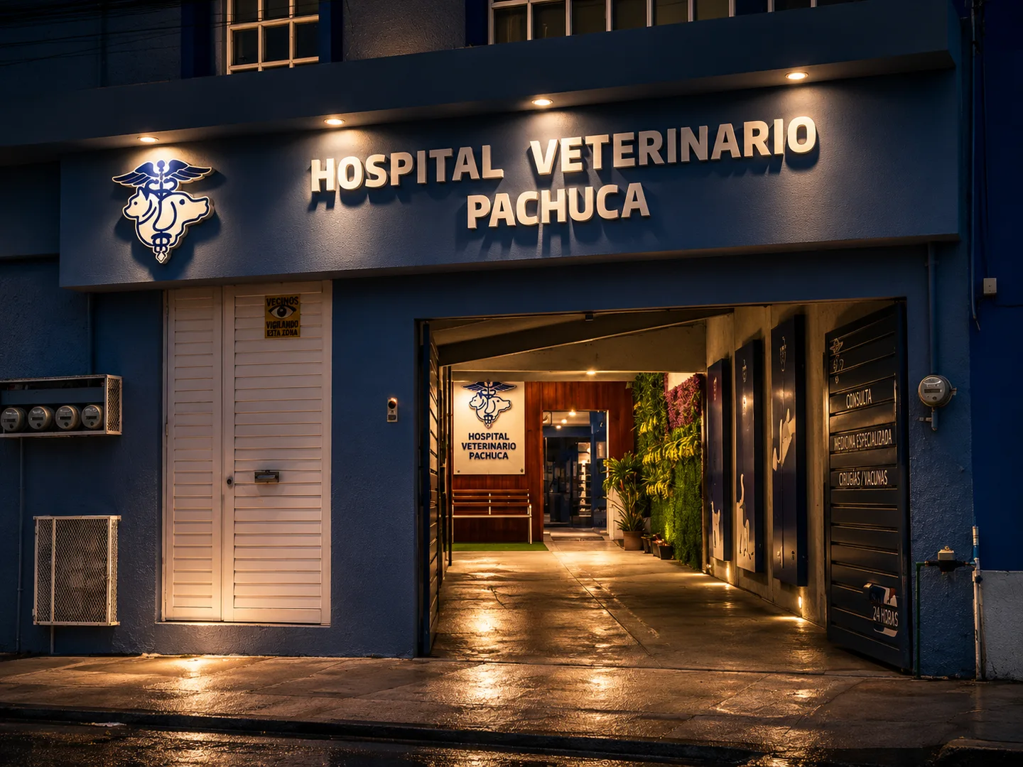 Hospital Veterinario Pachuca iluminado de noche